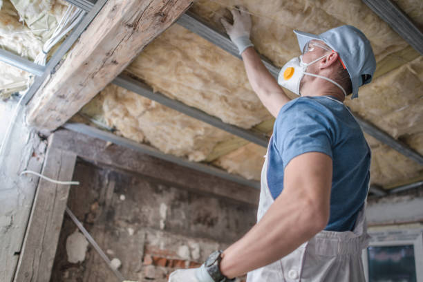 Insulation Replacement Services in Opelika, AL