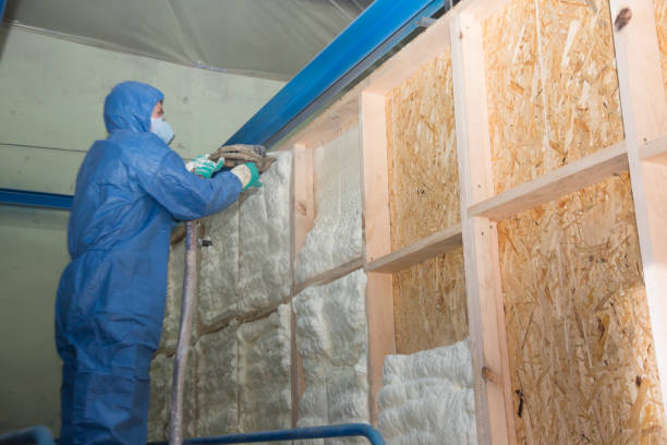 Garage Insulation Installation in Opelika, AL